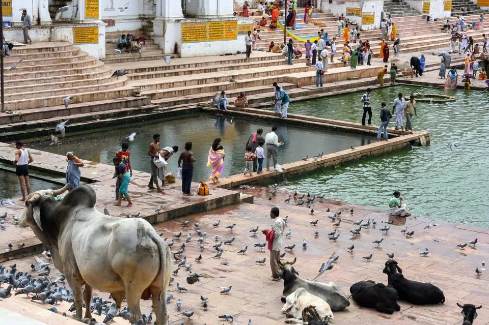 10-Day Jodhpur, Jaisalmer, Bikaner, Jaipur & Agra Tour with Mandawa Town.