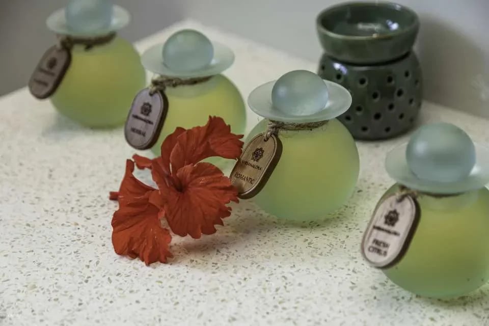 Spa Experience at Nirvanaloka Spa and Wellness Ubud