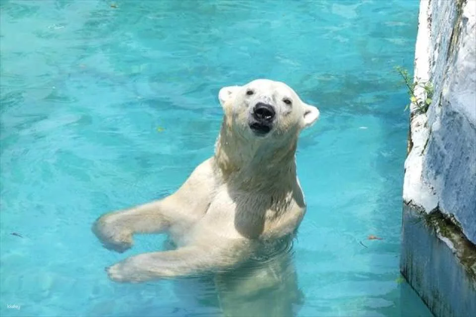 Osaka | Tennoji Zoo Tickets