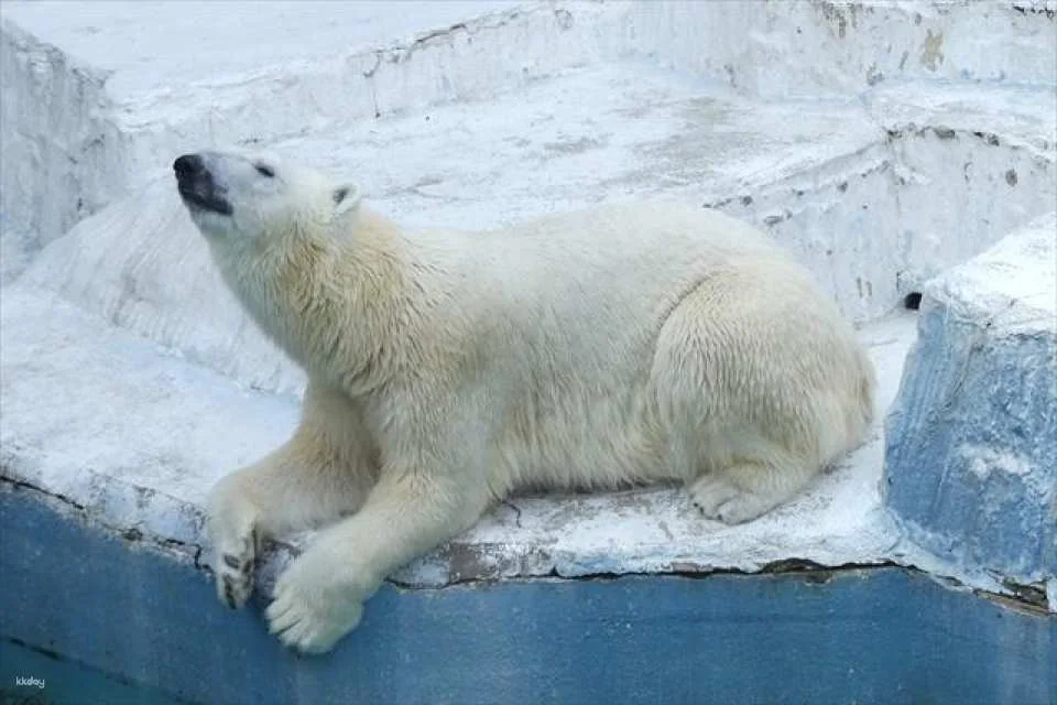 Osaka | Tennoji Zoo Tickets