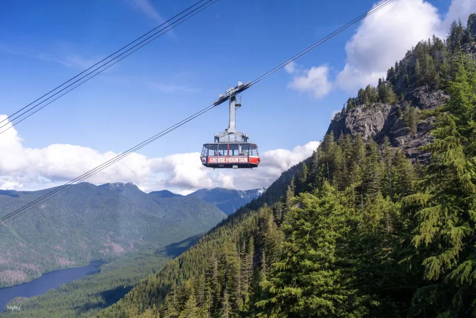 Grouse Mountain: Summer Entry Ticket + Free Downtown Shuttle | Vancouver (601683)
