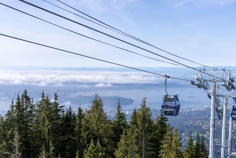 Grouse Mountain: Summer Entry Ticket + Free Downtown Shuttle | Vancouver