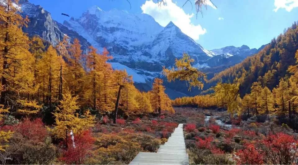 Ganzi Tibetan Autonomous Prefecture, Sichuan, China | Daocheng Yading Scenic Area Ticket + Sightseeing Bus Package