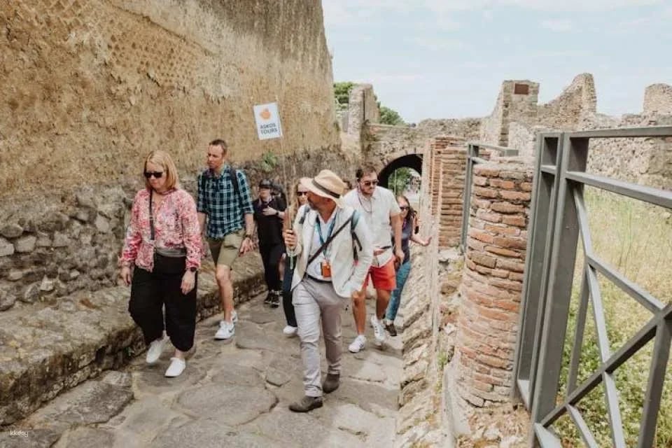 Pompeii Small Group Tour with transportation from Naples