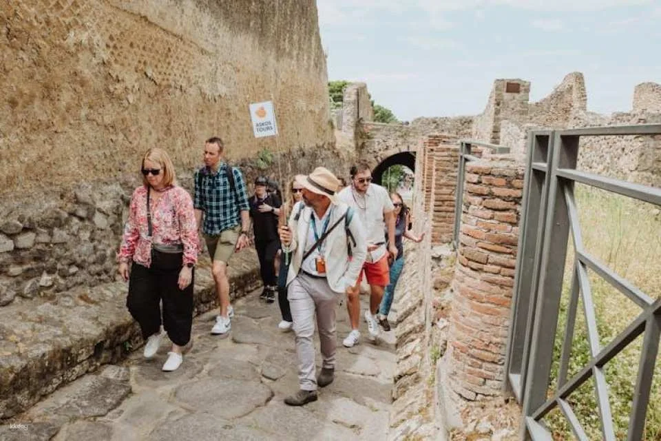 Pompeii Small Group Tour with transportation from Naples