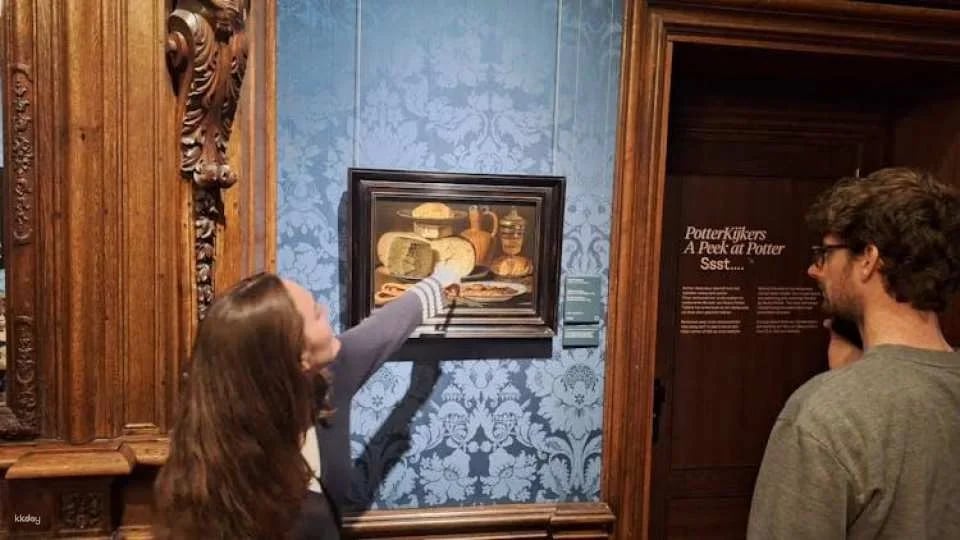 Private guided tour of Mauritshuis museum in The Hague
