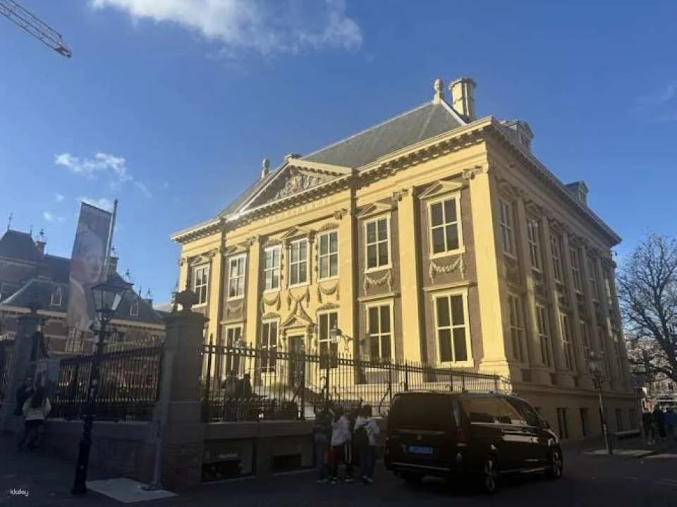 Private guided tour of Mauritshuis museum in The Hague