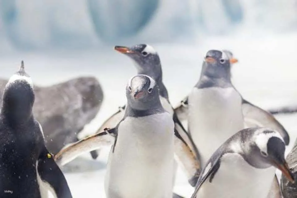 SEA LIFE Konstanz Tickets