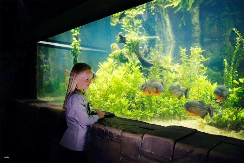 SEA LIFE Konstanz Tickets