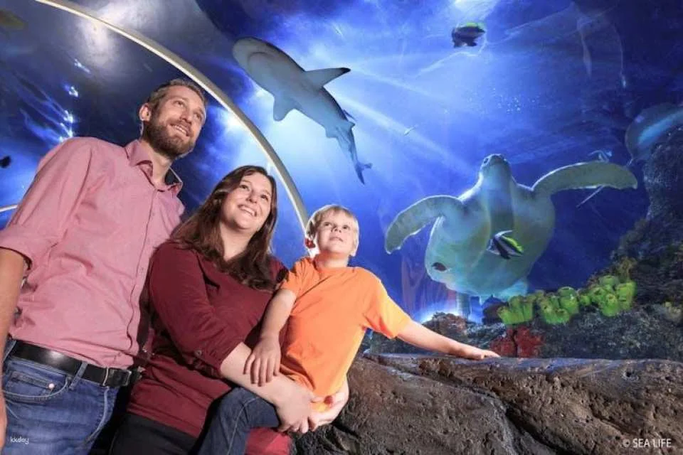 SEA LIFE Konstanz Tickets