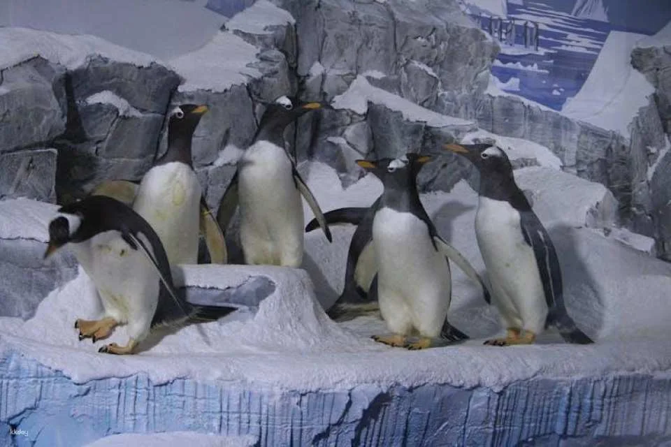 SEA LIFE Konstanz Tickets