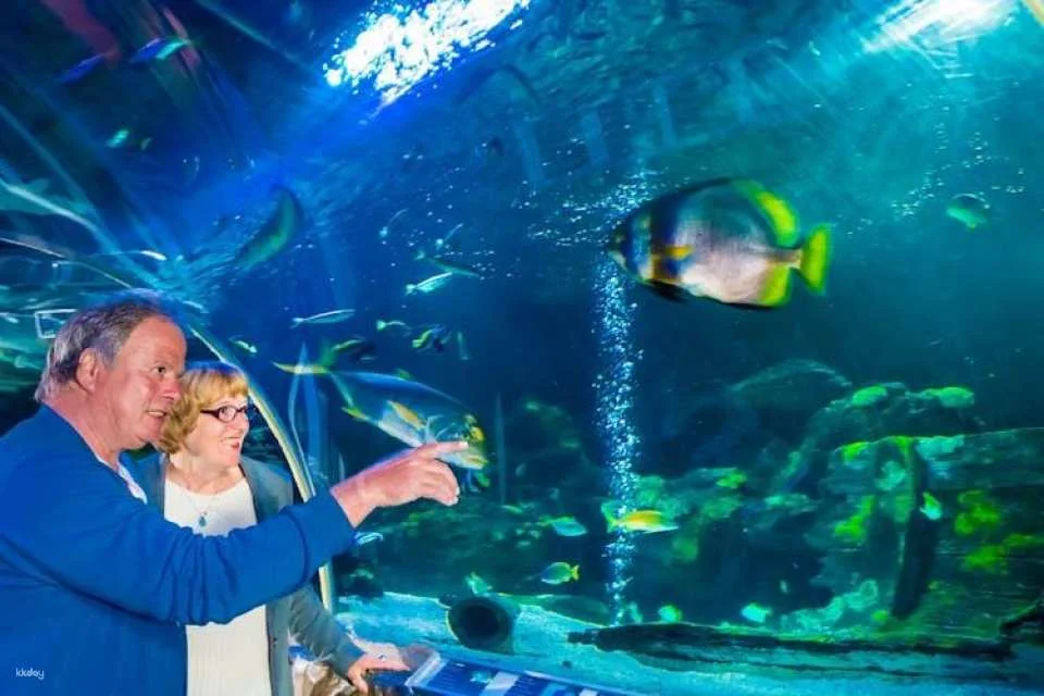 SEA LIFE Konstanz Tickets