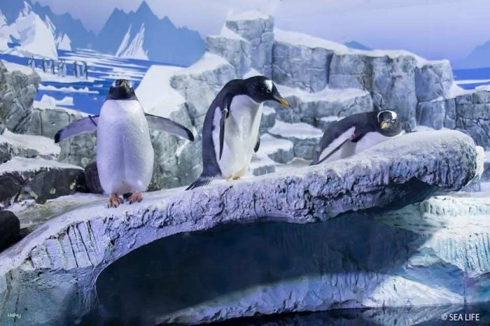 SEA LIFE Konstanz Tickets