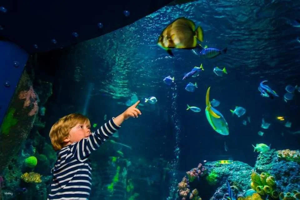 SEA LIFE Konstanz Tickets