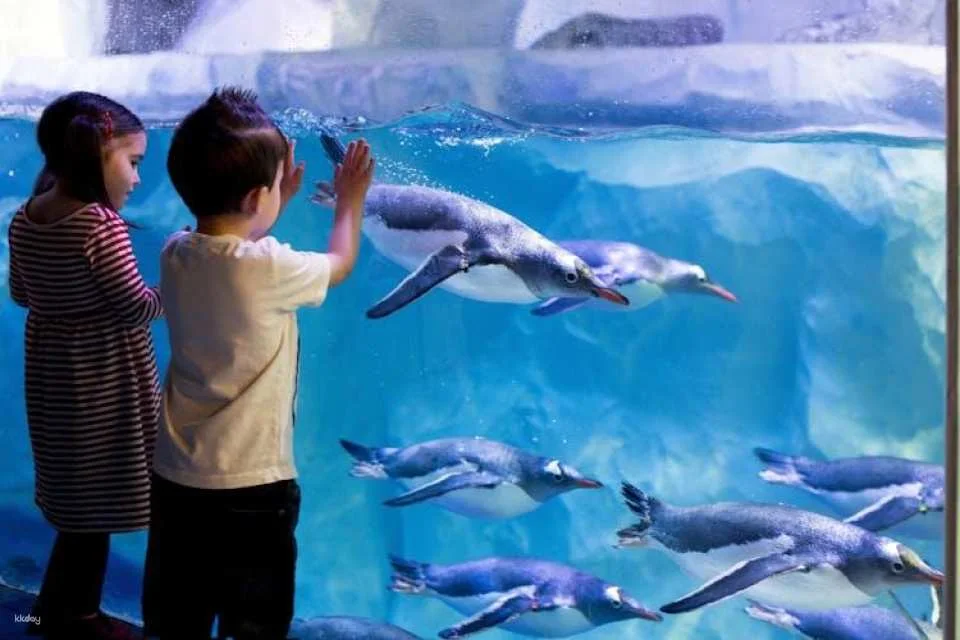 SEA LIFE Konstanz Tickets