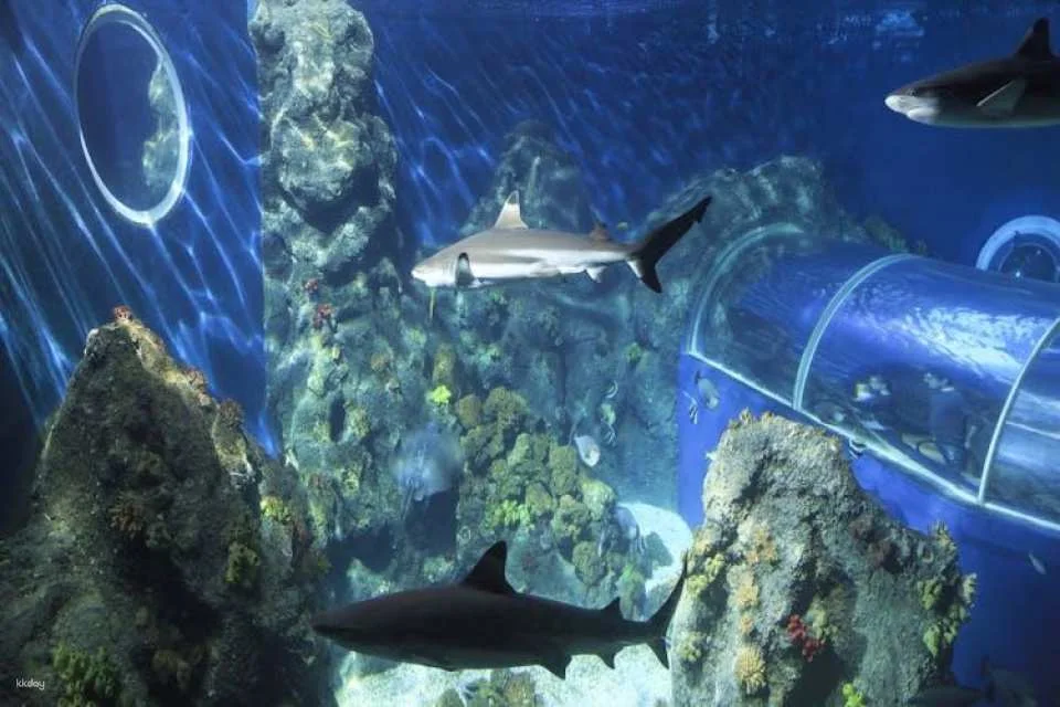 SEA LIFE Konstanz Tickets