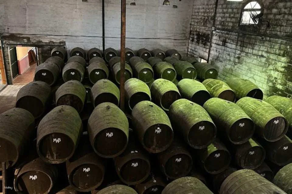 Winery tour and wine tasting in Chiclana de la Frontera in Cádiz