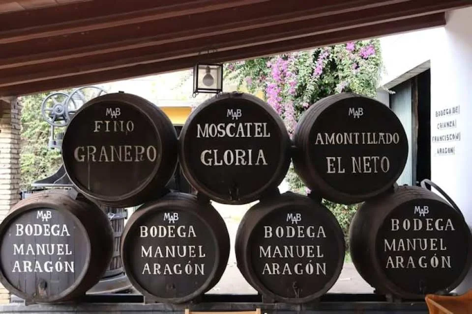 Winery tour and wine tasting in Chiclana de la Frontera in Cádiz