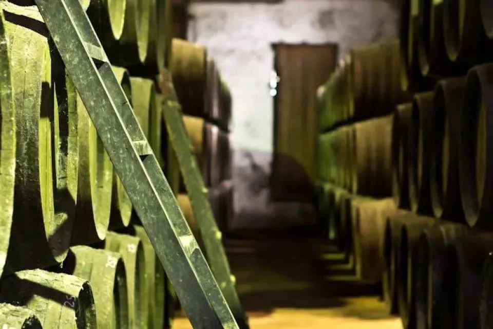 Winery tour and wine tasting in Chiclana de la Frontera in Cádiz