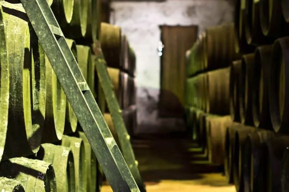 Winery tour and wine tasting in Chiclana de la Frontera in Cádiz