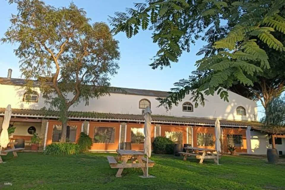 Winery tour and wine tasting in Chiclana de la Frontera in Cádiz