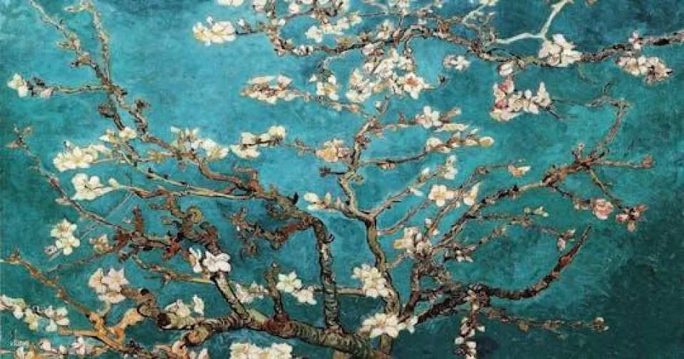 Van Gogh Museum Semi-Private Guided Tour with Reserved Entry