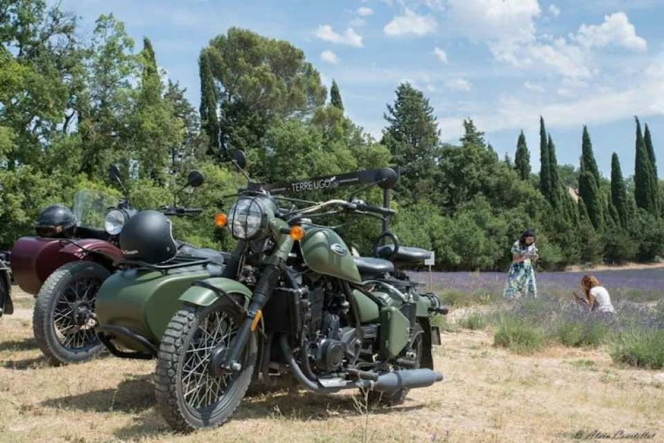 Retro side-car lavender fields & wine tour from Aix-en-Provence