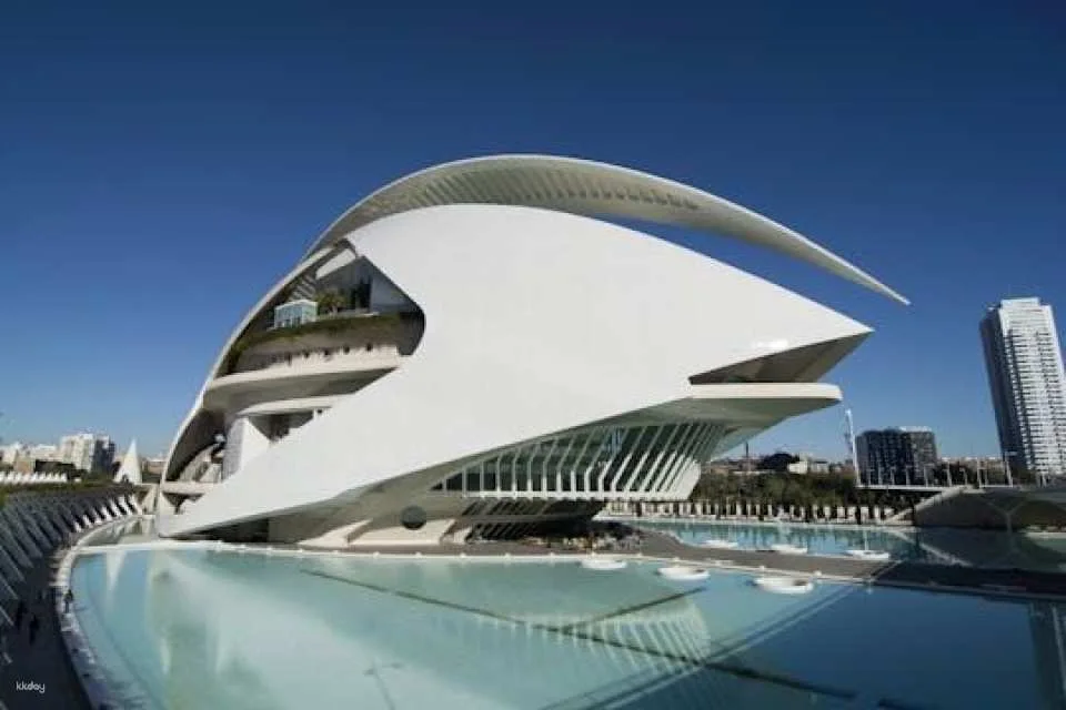 Palau de les Arts opera house self-guided visit with brouchure (602232)