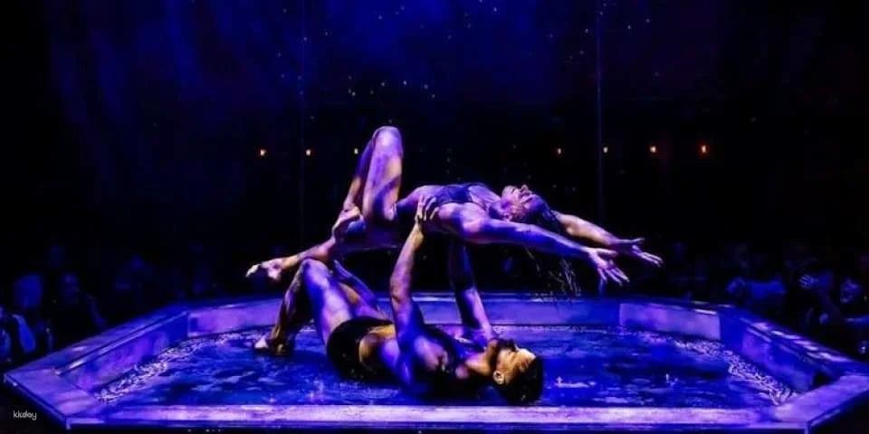 Skip-the-line tickets to Magic Mike Live in London
