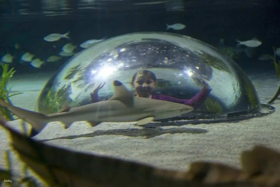 SEA LIFE Oberhausen tickets