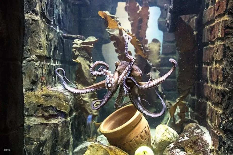 SEA LIFE Oberhausen tickets