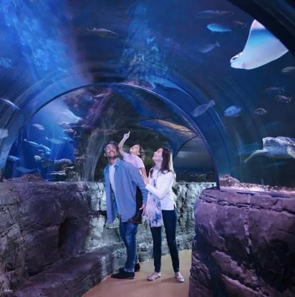 SEA LIFE Oberhausen tickets