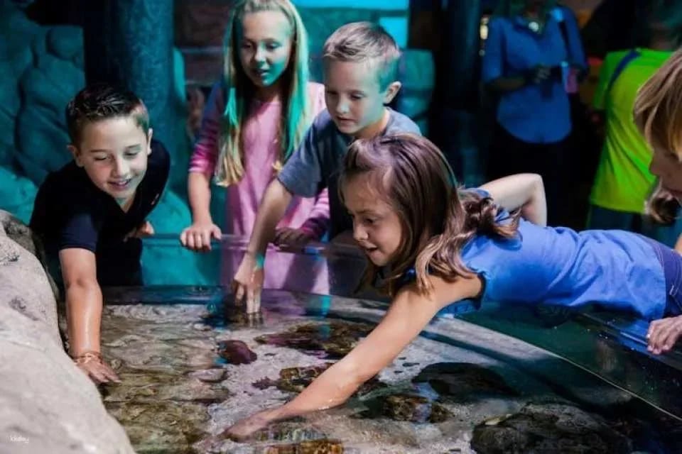 SEA LIFE Oberhausen tickets