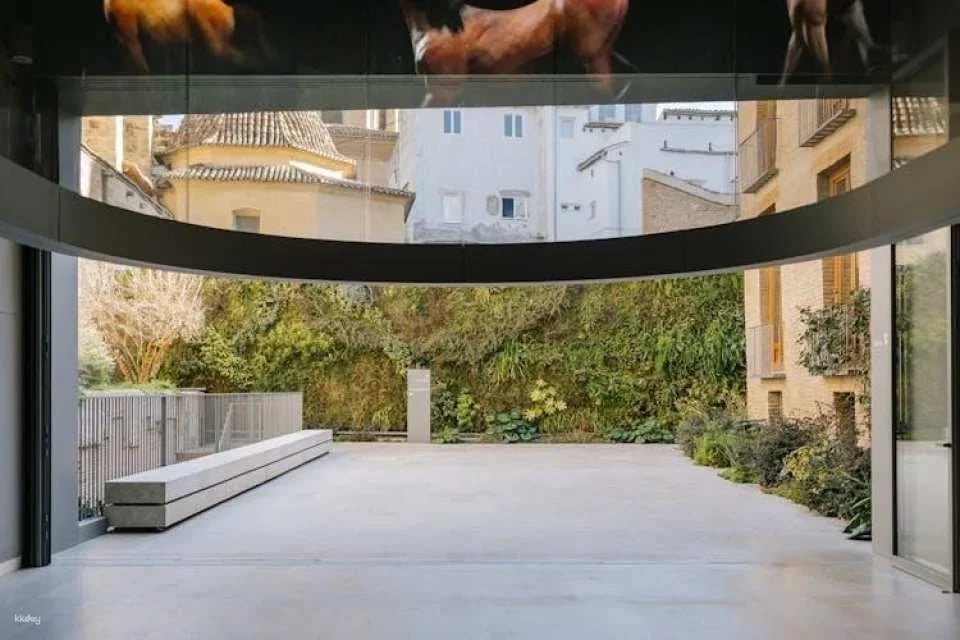 Hortensia Herrero Art Centre entry ticket and multilanguage audio tour