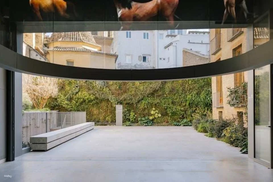Hortensia Herrero Art Centre entry ticket and multilanguage audio tour
