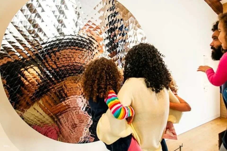 Hortensia Herrero Art Centre entry ticket and multilanguage audio tour