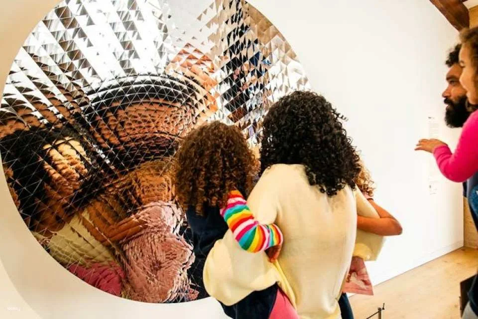 Hortensia Herrero Art Centre entry ticket and multilanguage audio tour