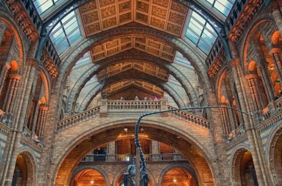 London Natural History Museum Ticket and In-App Audio Tour in Spanish
