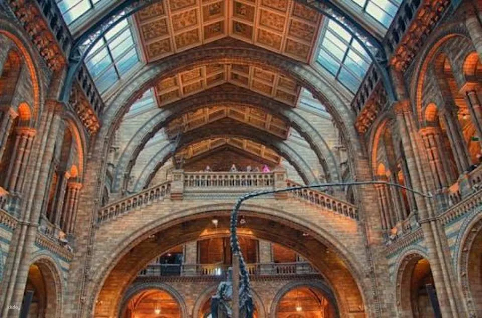London Natural History Museum Ticket and In-App Audio Tour in Spanish