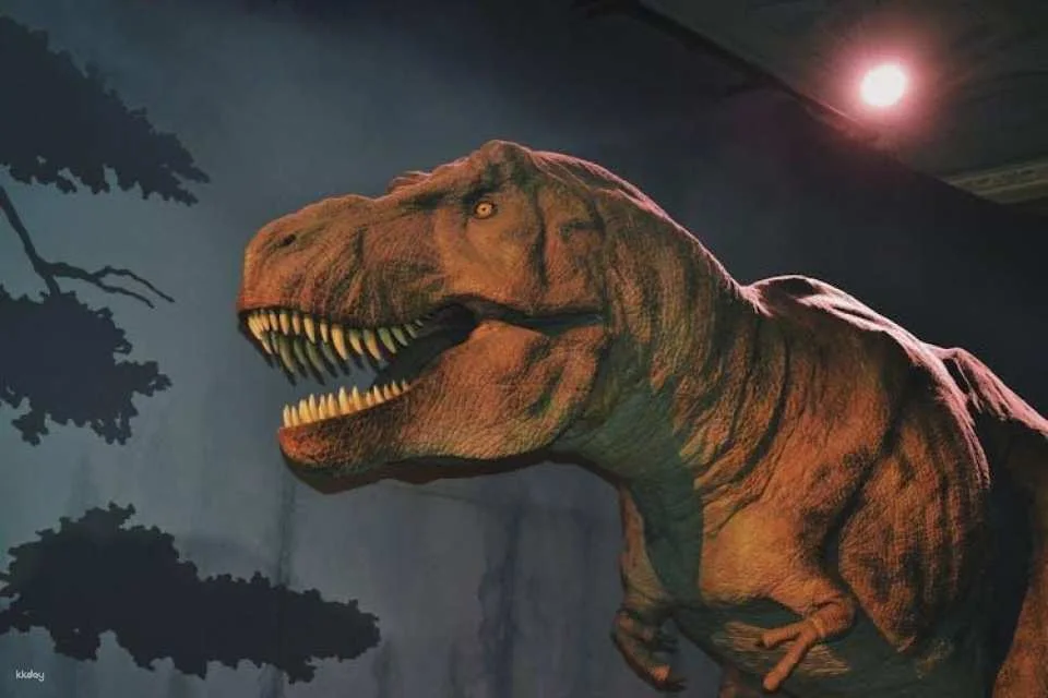 London Natural History Museum Ticket and In-App Audio Tour in Spanish