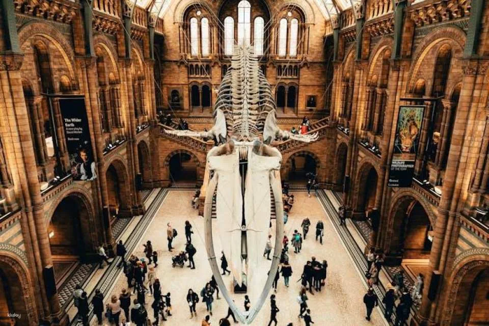 London Natural History Museum Ticket and In-App Audio Tour in Spanish