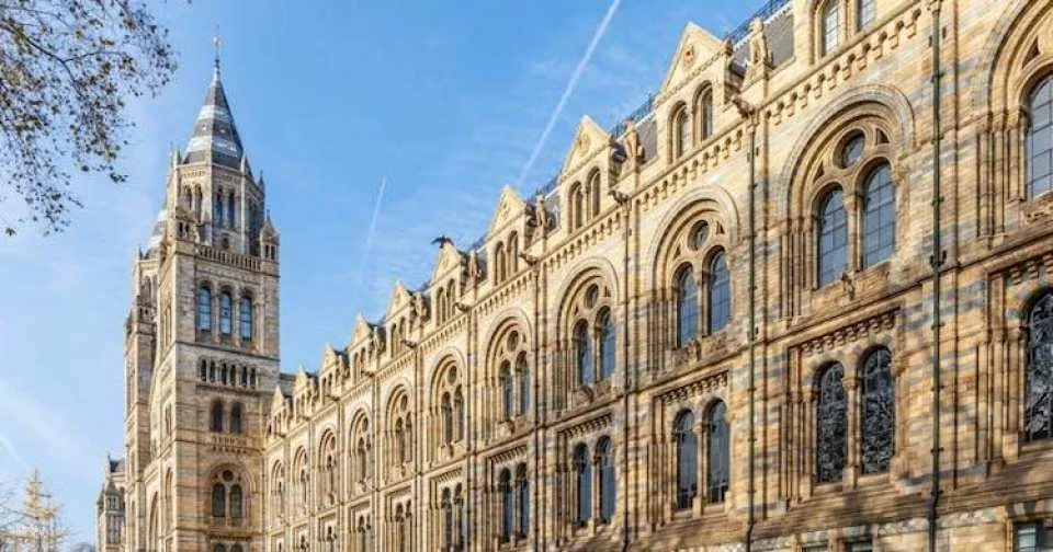 Natural History Museum of London guided tour