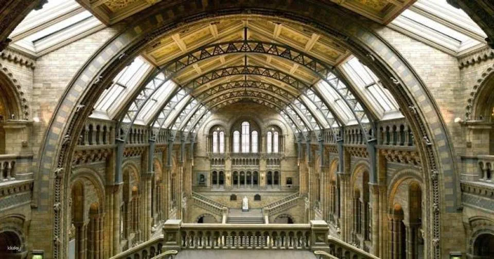 Natural History Museum of London guided tour