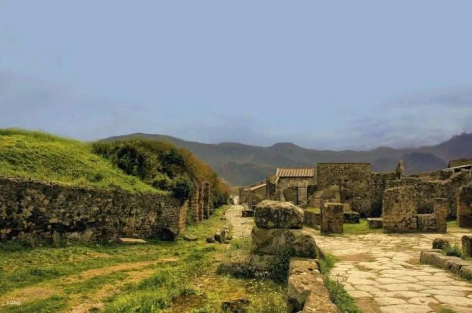 Pompeii Entry Ticket with Digital Audio Guide