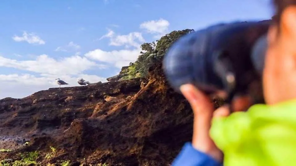 3-hour tour of Vila Franca do Campo's protected nature reserve