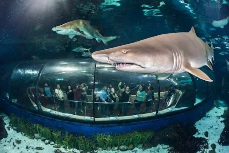 Barcelona Aquarium