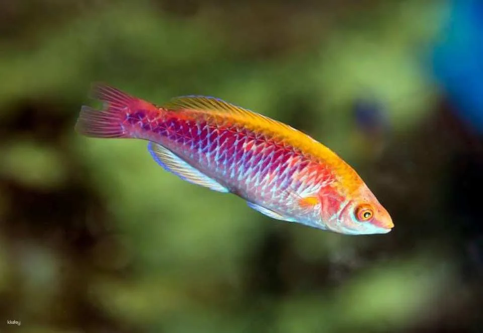 Barcelona Aquarium