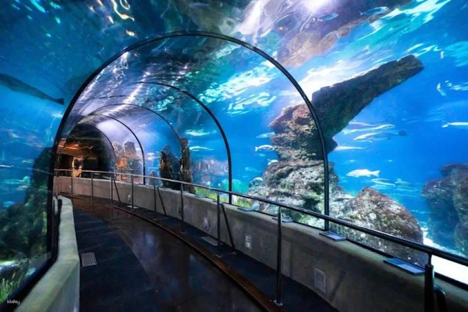 Barcelona Aquarium