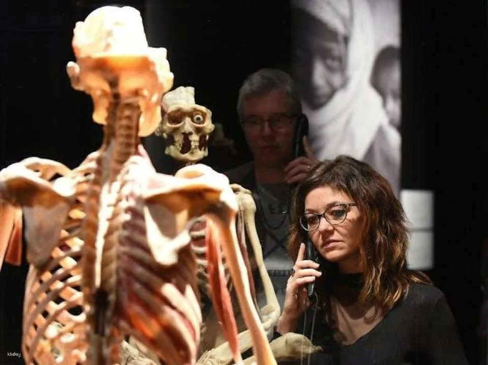 Body Worlds exhibition in Münster