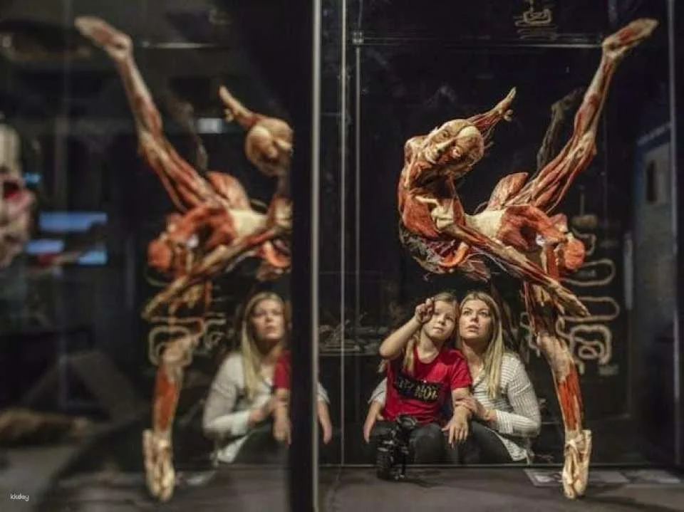 Body Worlds exhibition in Münster